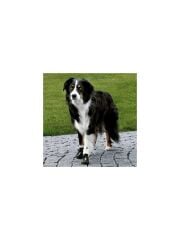 Jollypaw Köpek Yürüyüş Botu S-M Beden (Protective Boots Pfotenschutz)